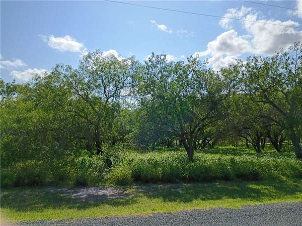 3 Acres of Residential Land for Sale in Mathis, Texas