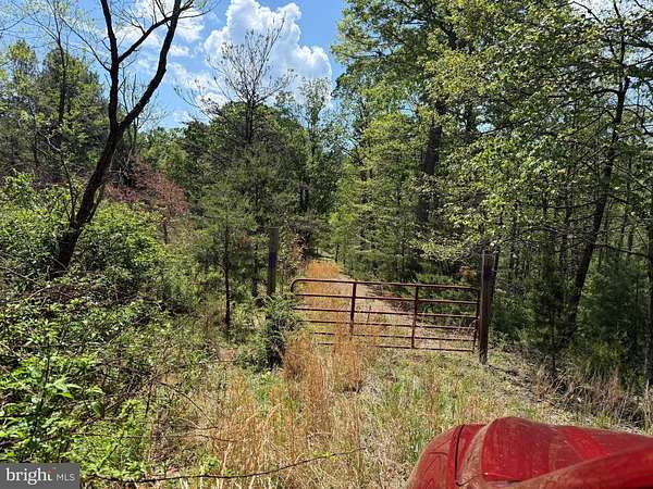 146 Acres of Recreational & Residential Land for Sale in Yellow Spring, West Virginia
