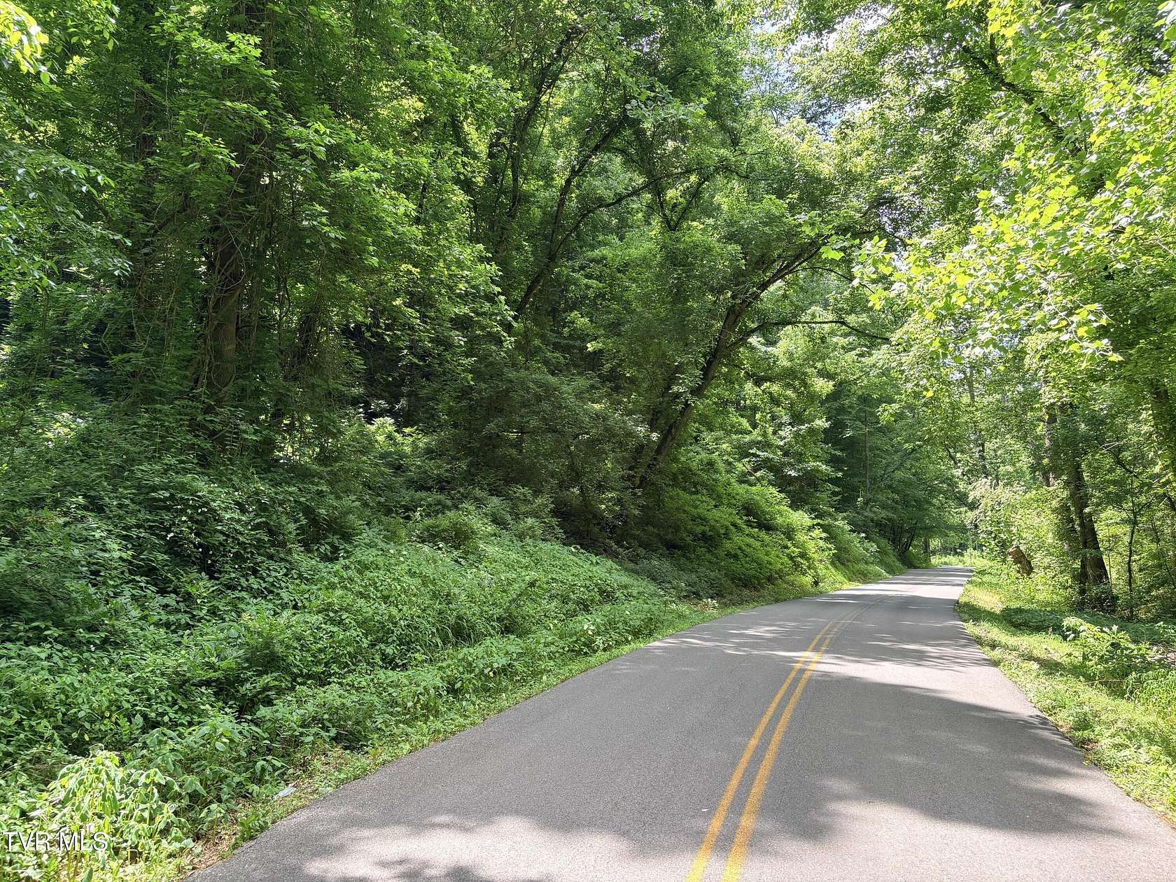 26.8 Acres of Recreational & Residential Land for Sale in Mosheim, Tennessee