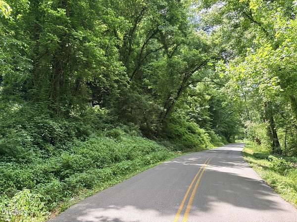 26.8 Acres of Recreational & Residential Land for Sale in Mosheim, Tennessee