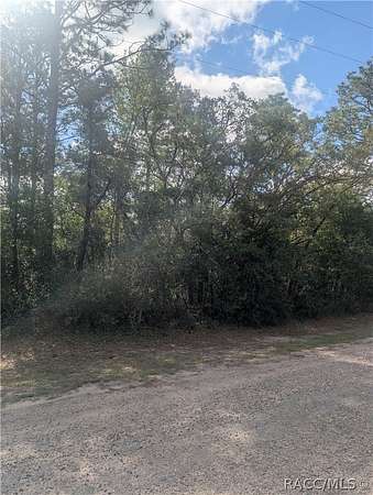 0.23 Acres of Residential Land for Sale in Dunnellon, Florida