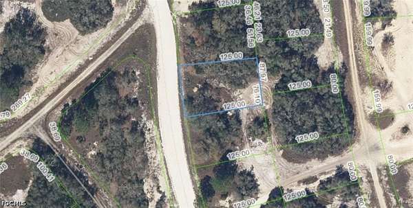 0.23 Acres of Land for Sale in Lake Placid, Florida