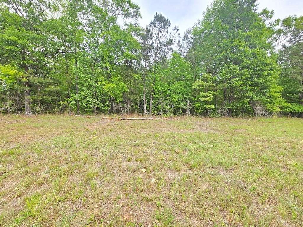 30.7 Acres of Recreational Land for Sale in Shiloh, Georgia