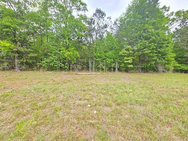 30.7 Acres of Recreational Land for Sale in Shiloh, Georgia