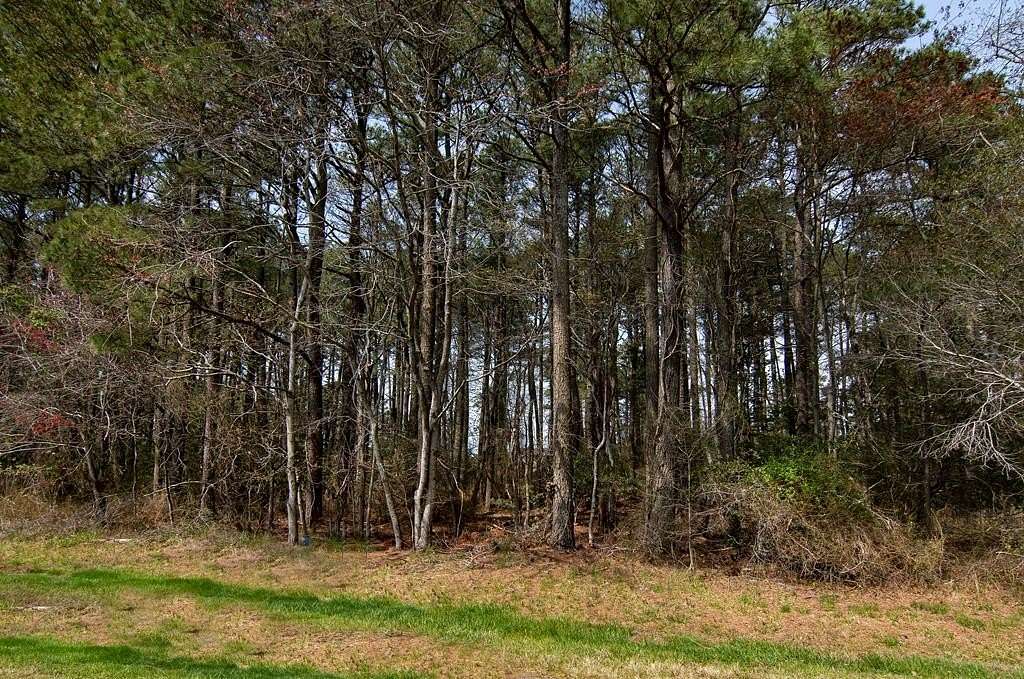 0.22 Acres of Residential Land for Sale in Greenbackville, Virginia