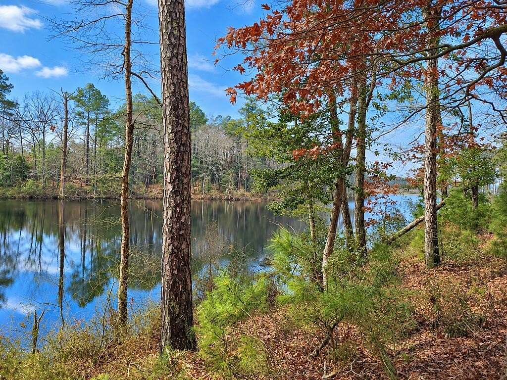 4.18 Acres of Residential Land for Sale in New Church, Virginia