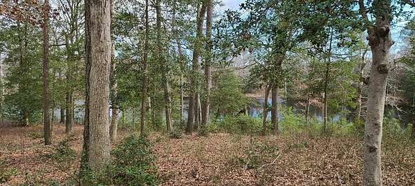 4.18 Acres of Residential Land for Sale in New Church, Virginia