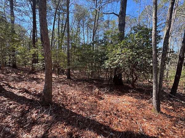 0.32 Acres of Residential Land for Sale in Greenbackville, Virginia