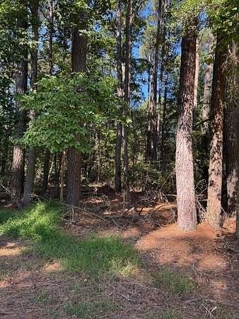0.28 Acres of Residential Land for Sale in Greenbackville, Virginia