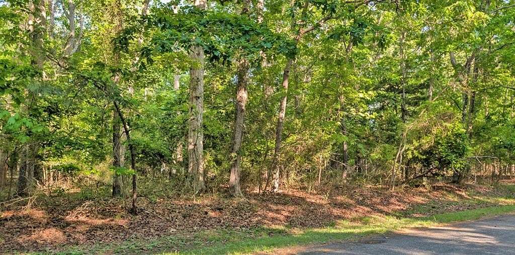 0.22 Acres of Residential Land for Sale in Greenbackville, Virginia