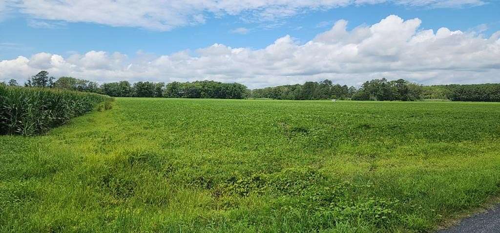 46 Acres of Recreational & Residential Land for Sale in Withams, Virginia