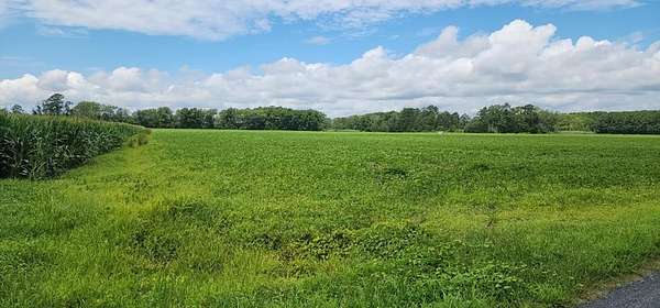 46 Acres of Recreational & Residential Land for Sale in Withams, Virginia