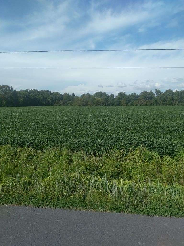10 Acres of Land for Sale in Bloxom, Virginia