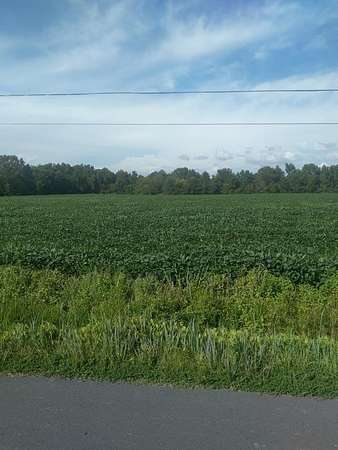 10 Acres of Land for Sale in Bloxom, Virginia