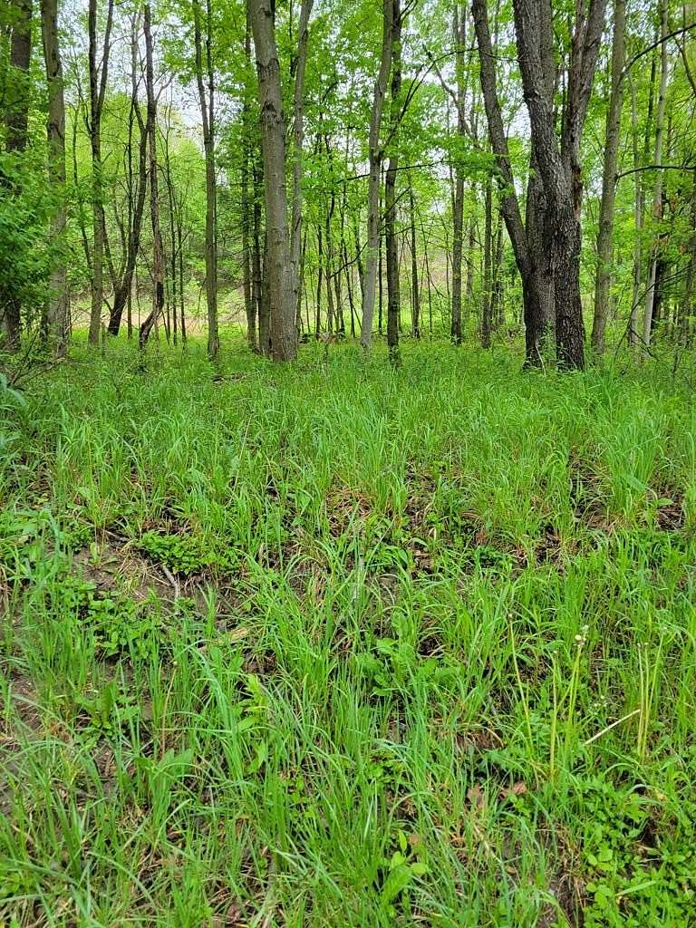 1 Acre of Residential Land for Sale in Sligo, Pennsylvania