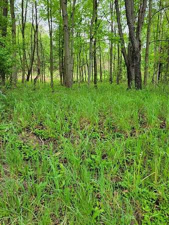 1 Acre of Residential Land for Sale in Sligo, Pennsylvania