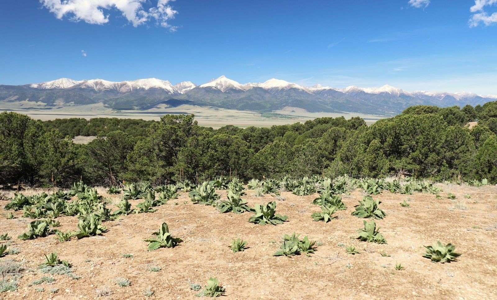 5.37 Acres of Residential Land for Sale in Westcliffe, Colorado