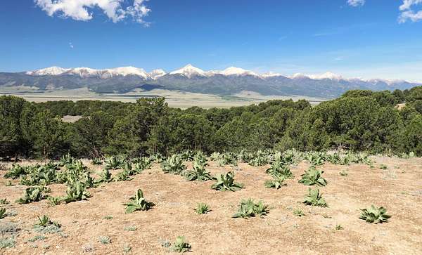 5.37 Acres of Residential Land for Sale in Westcliffe, Colorado