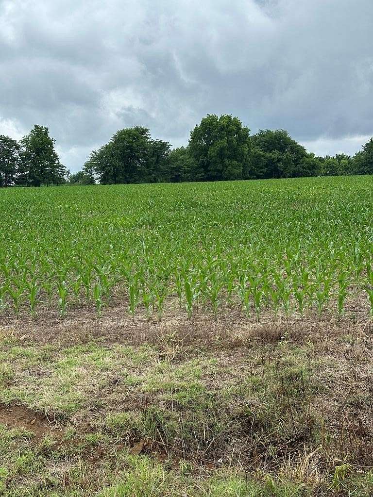 8.8 Acres of Residential Land for Sale in McKenzie, Tennessee