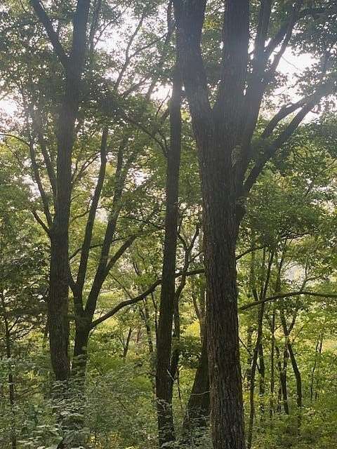 2.12 Acres of Land for Sale in McMinnville, Tennessee