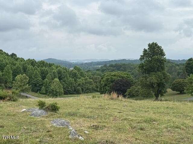 63.5 Acres of Land for Sale in Piney Flats, Tennessee
