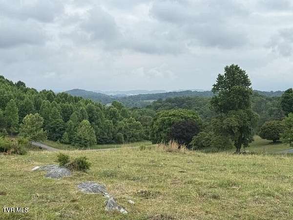 63.5 Acres of Land for Sale in Piney Flats, Tennessee