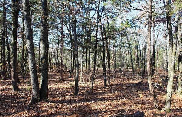 40 Acres of Recreational Land for Sale in Flippin, Arkansas