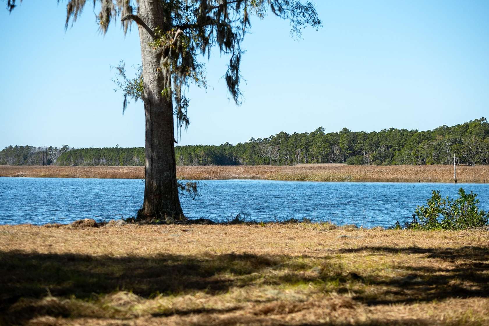 1 Acre of Residential Land for Sale in Georgetown, South Carolina