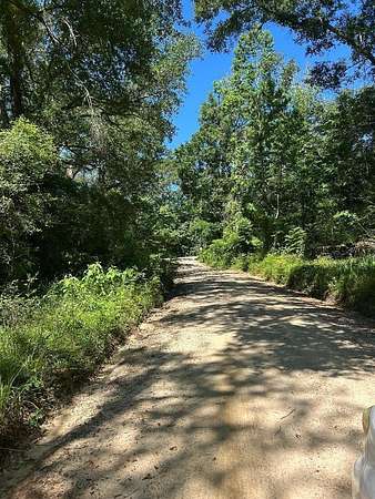1 Acre of Residential Land for Sale in Westville, Florida