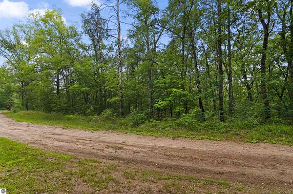 0.44 Acres of Residential Land for Sale in Baldwin, Michigan