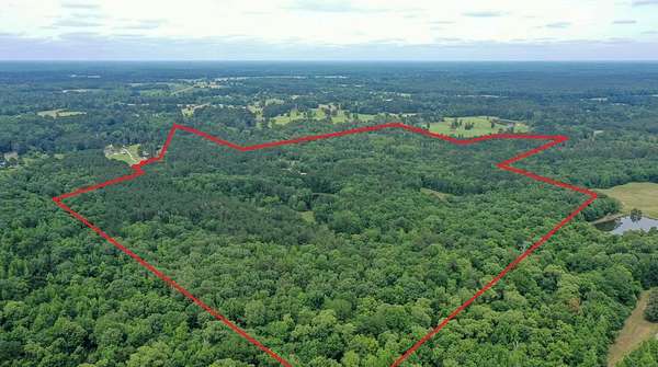 116 Acres of Recreational & Residential Land for Sale in De Berry, Texas