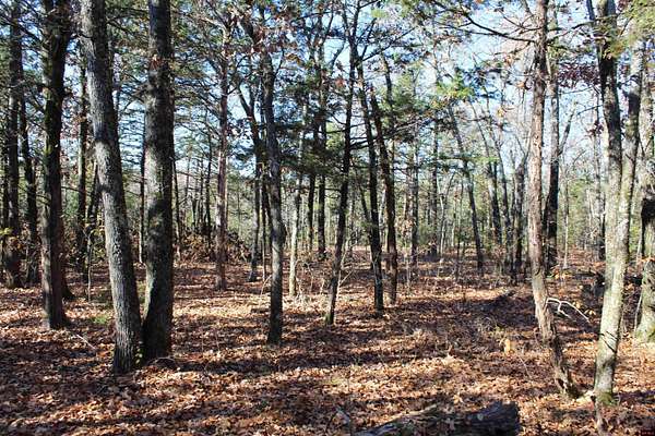 40 Acres of Recreational Land for Sale in Flippin, Arkansas