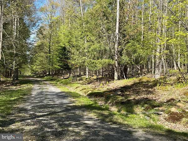 6.89 Acres of Residential Land for Sale in Oakland, Maryland