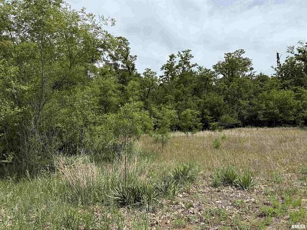 1 Acre of Residential Land for Sale in Havana, Illinois