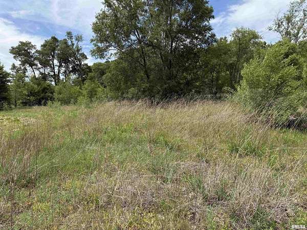 1.12 Acres of Residential Land for Sale in Havana, Illinois