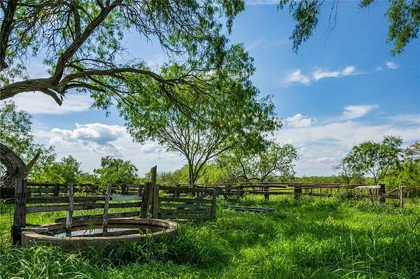 75 Acres of Land for Sale in Falfurrias, Texas