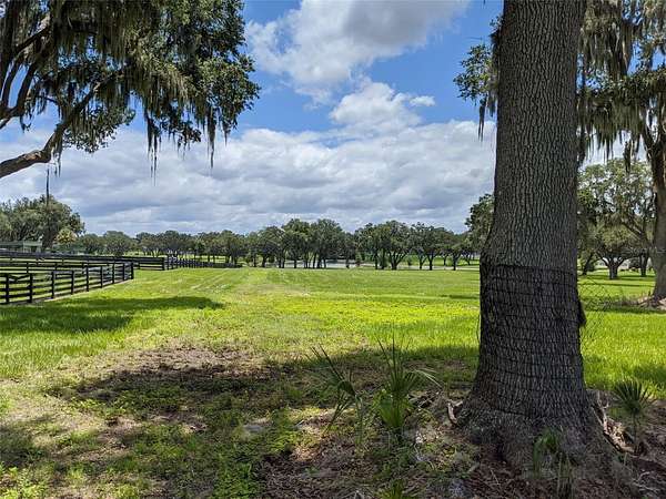 10 Acres of Land for Sale in Summerfield, Florida
