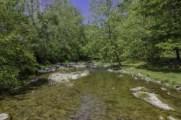 25 Acres of Land with Home for Sale in Vesuvius, Virginia