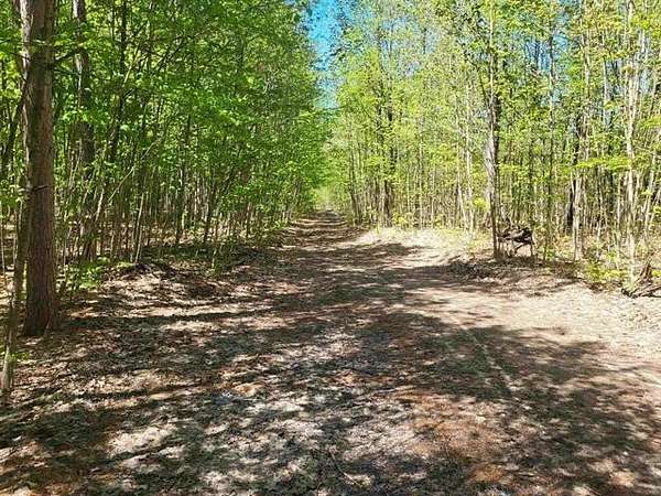 2.67 Acres of Residential Land for Sale in Inland Township, Michigan