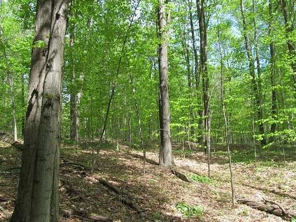 17.7 Acres of Recreational & Residential Land for Sale in Highland Township, Michigan