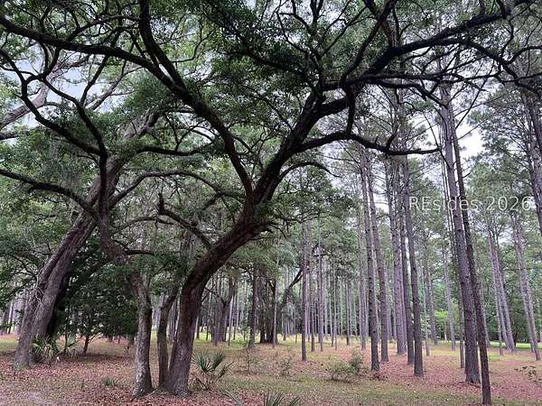 20.6 Acres of Land for Sale in Okatie, South Carolina