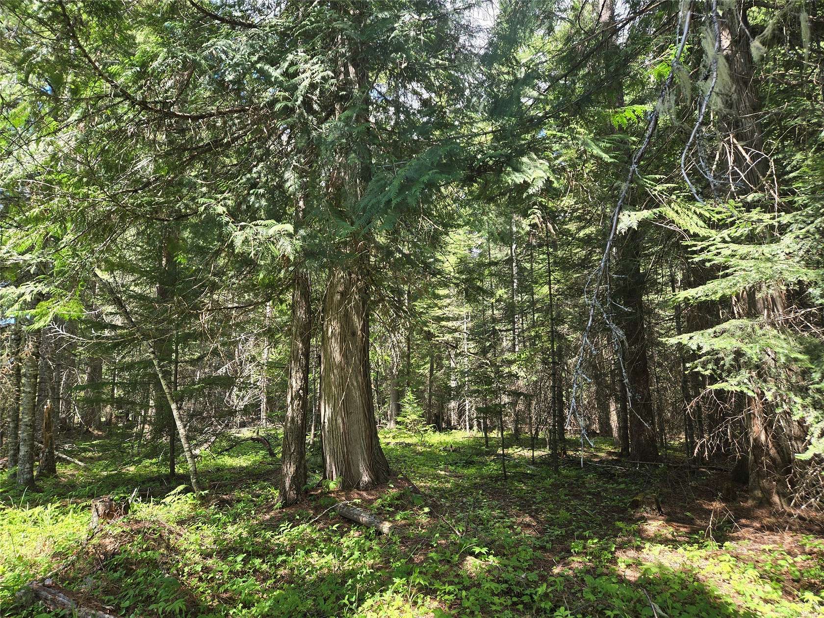 5.38 Acres of Land for Sale in Heron, Montana