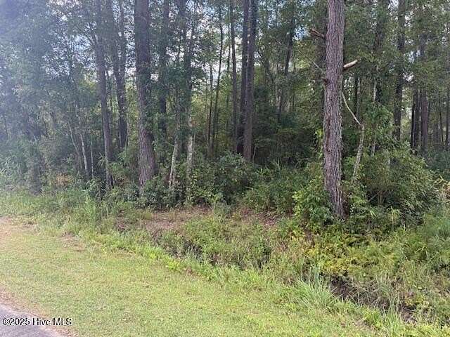 21.6 Acres of Recreational & Residential Land for Sale in Lake Waccamaw, North Carolina