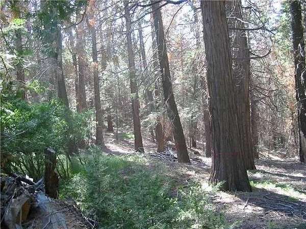 0.16 Acres of Land for Sale in Palomar Mountain, California