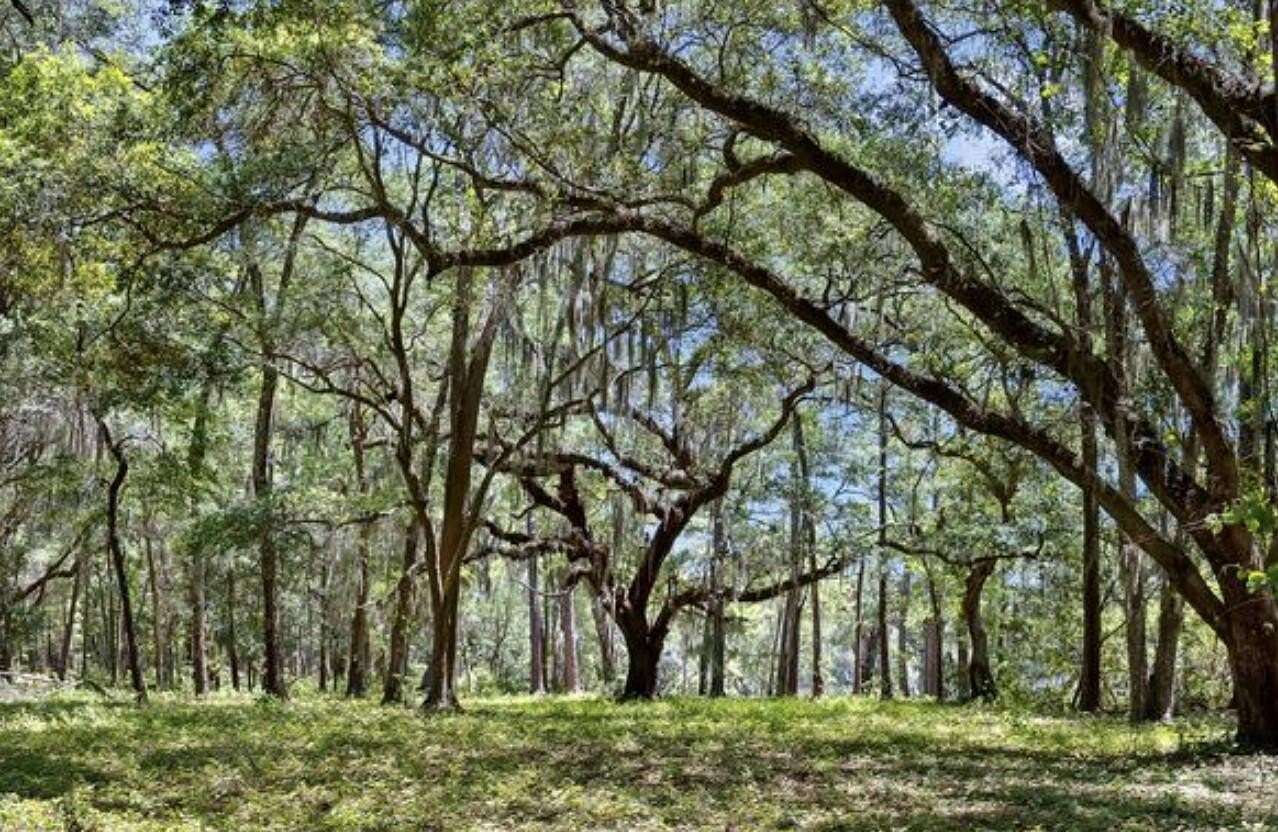 0.7 Acres of Residential Land for Sale in Edisto Island, South Carolina