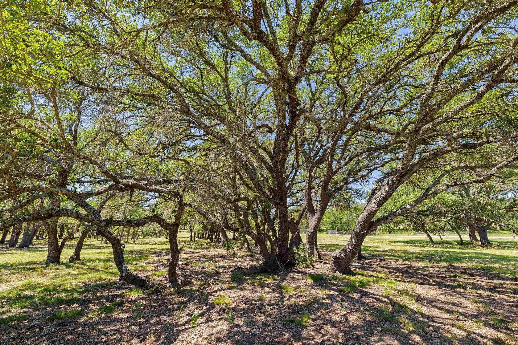 27 Acres of Recreational & Residential Land for Sale in Johnson City, Texas