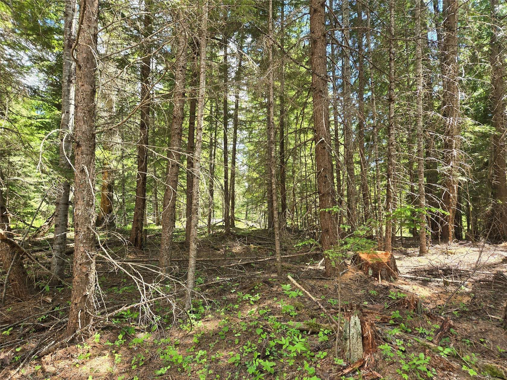 5.86 Acres of Land for Sale in Heron, Montana