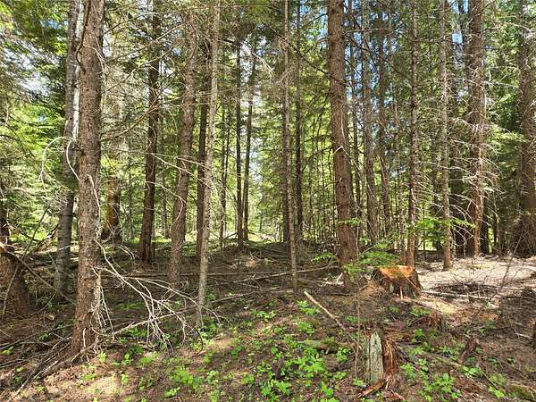 5.86 Acres of Land for Sale in Heron, Montana