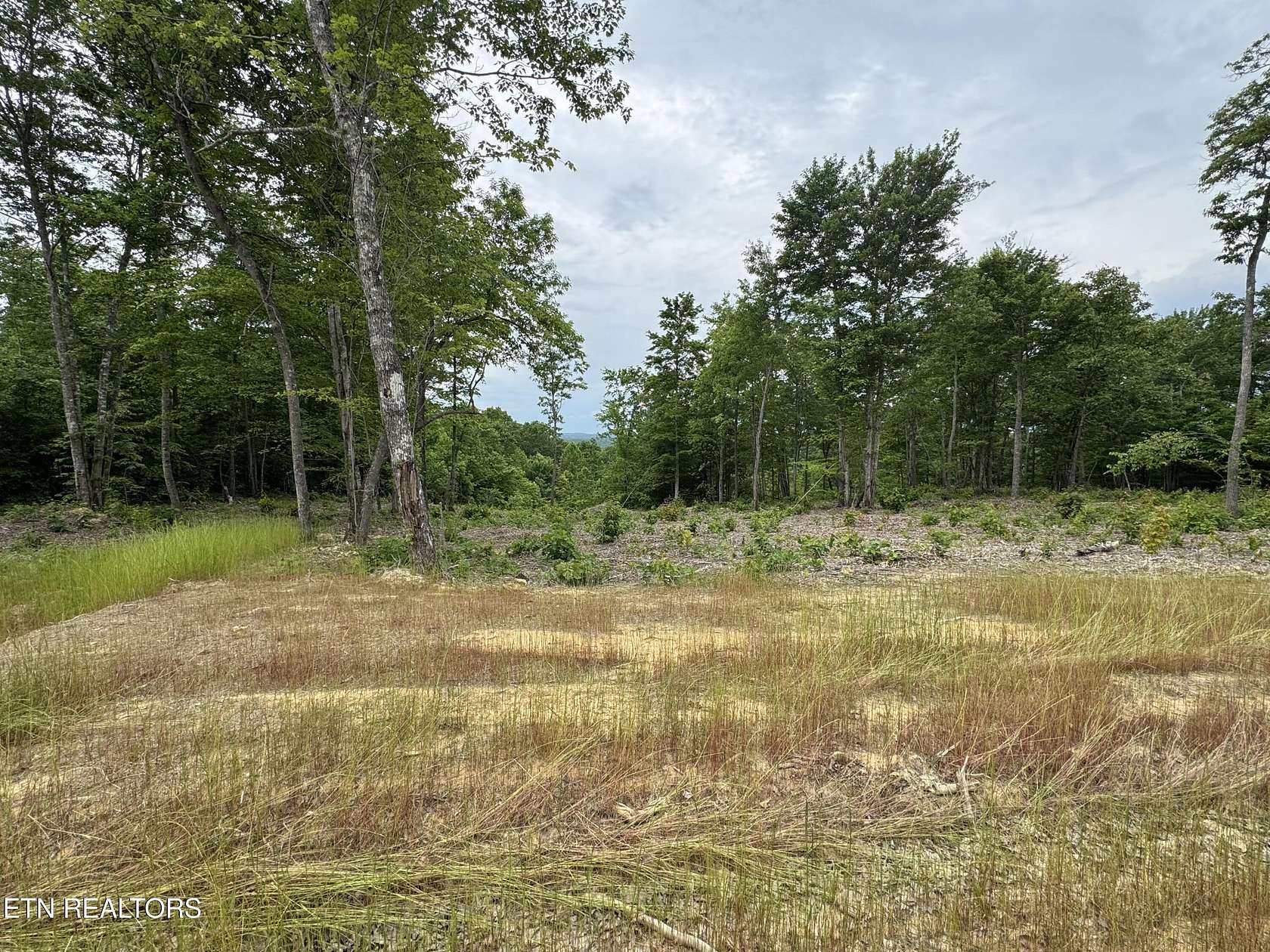 6.82 Acres of Residential Land for Sale in Robbins, Tennessee