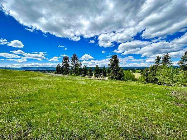 1 Acre of Residential Land for Sale in McCall, Idaho